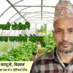 तरकारी खेतीसँगै मौरीपालनमा काफ्लेको मेहेनत